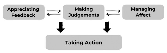 Figure 1 - showing Appreciating Feedback - making judgements - managing affect, all leading to taking action